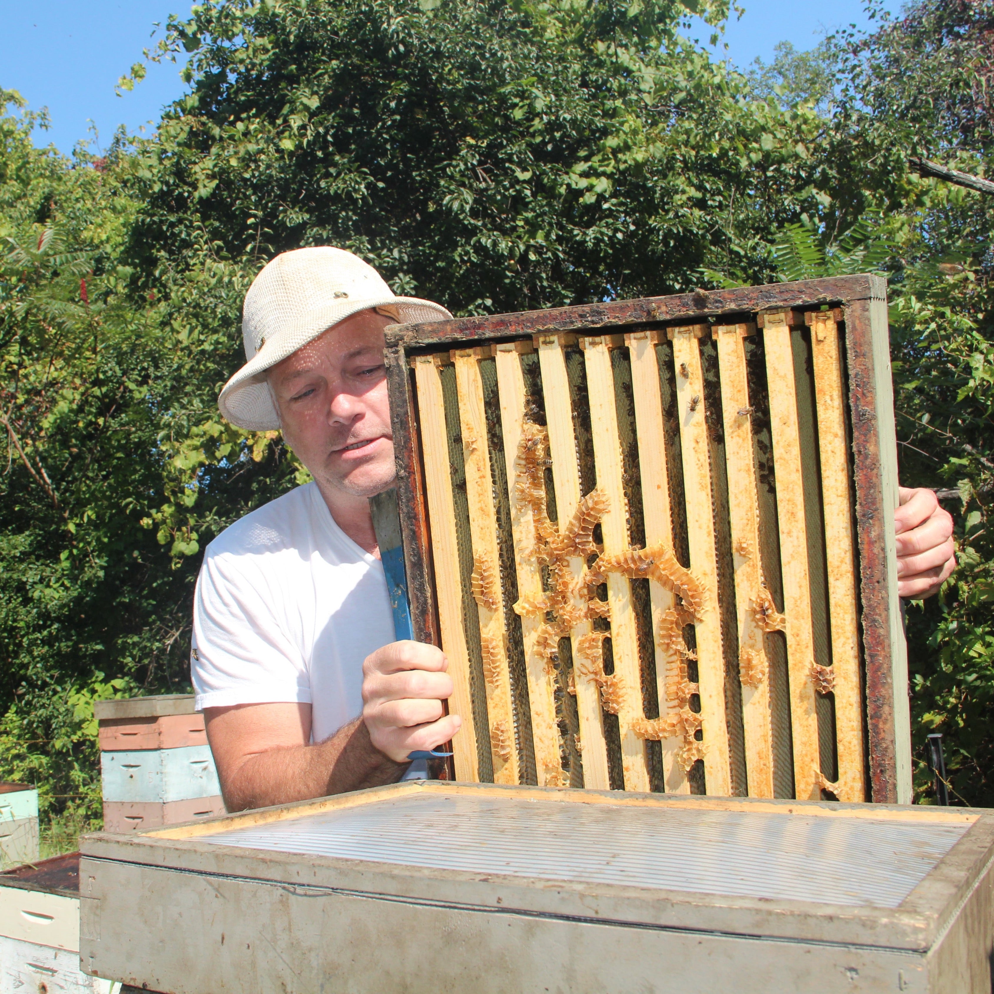 beekeeper chaz mraz outside in bee yard with open beehive at champlain valley apiaries